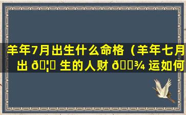 羊年7月出生什么命格（羊年七月出 🦍 生的人财 🌾 运如何）